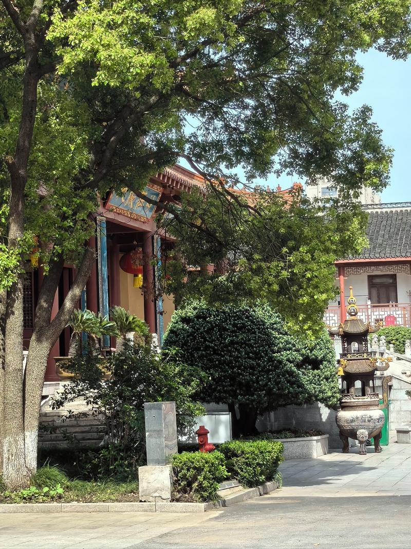 起名吴朝夕号码 起名吴朝夕号码