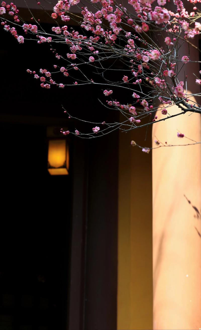 财神灵签第五签解签_恋爱空间是否受阻碍(财神灵签第五签解签_恋爱空间需求