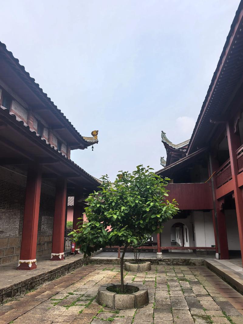 几月生的人有桃花 桃花月是农历几月