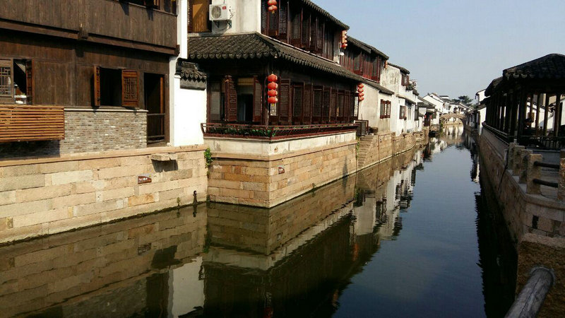 属鼠的人今年运气怎么样 1984年属鼠2025 运气女 属鼠的人今年运气怎么样 1984年属鼠2025 运气女