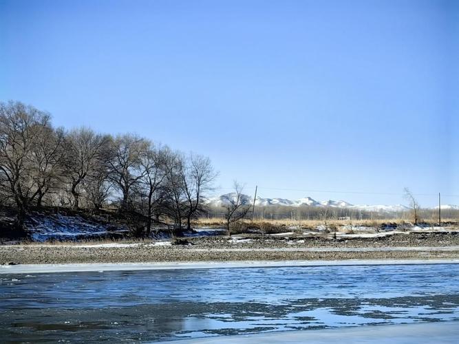 十二星座金牛座宠物狗 金牛座一辈子也斗不过的三大星座