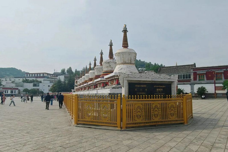 87属兔人2026年运势，87年属兔的2026年运势每月运