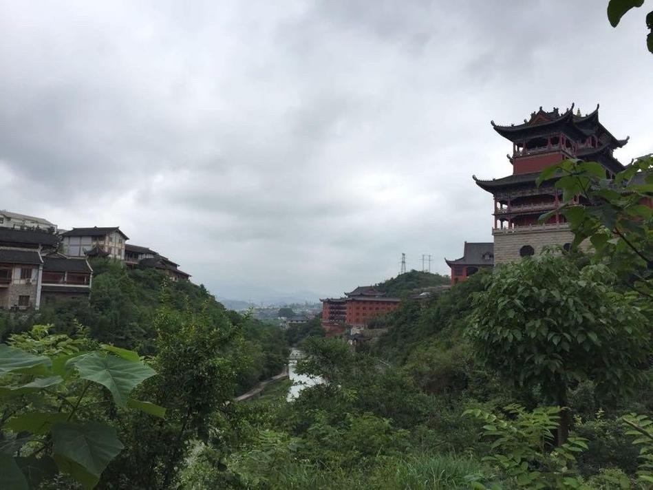 张达明老婆何念慈50多岁张达明近况曝光,抗病 张达明老婆何念慈50多岁张达明近况曝光,抗病