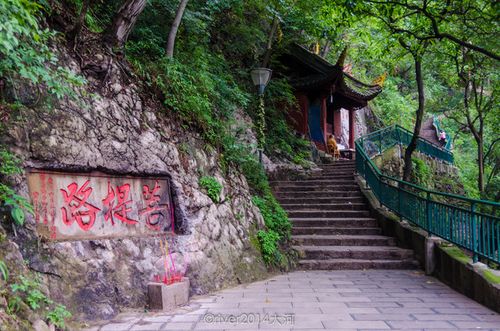 男羊女虎婚配合适吗 属羊男和属虎女婚姻配吗 男羊女虎婚配合适吗 属羊男和属虎女婚姻配吗