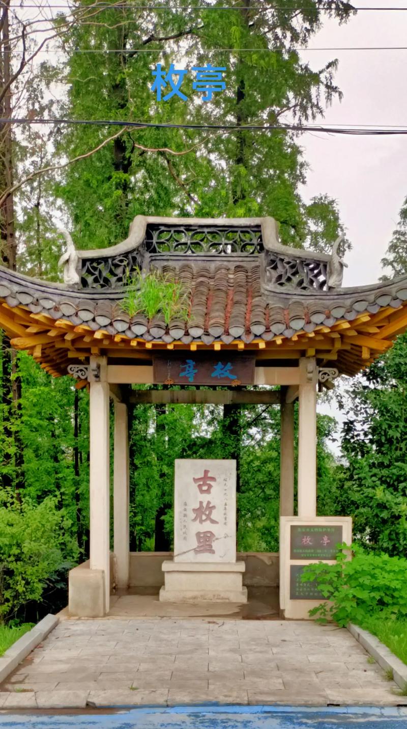梦幻好听的家族名字 梦幻游戏家族名字大全好听