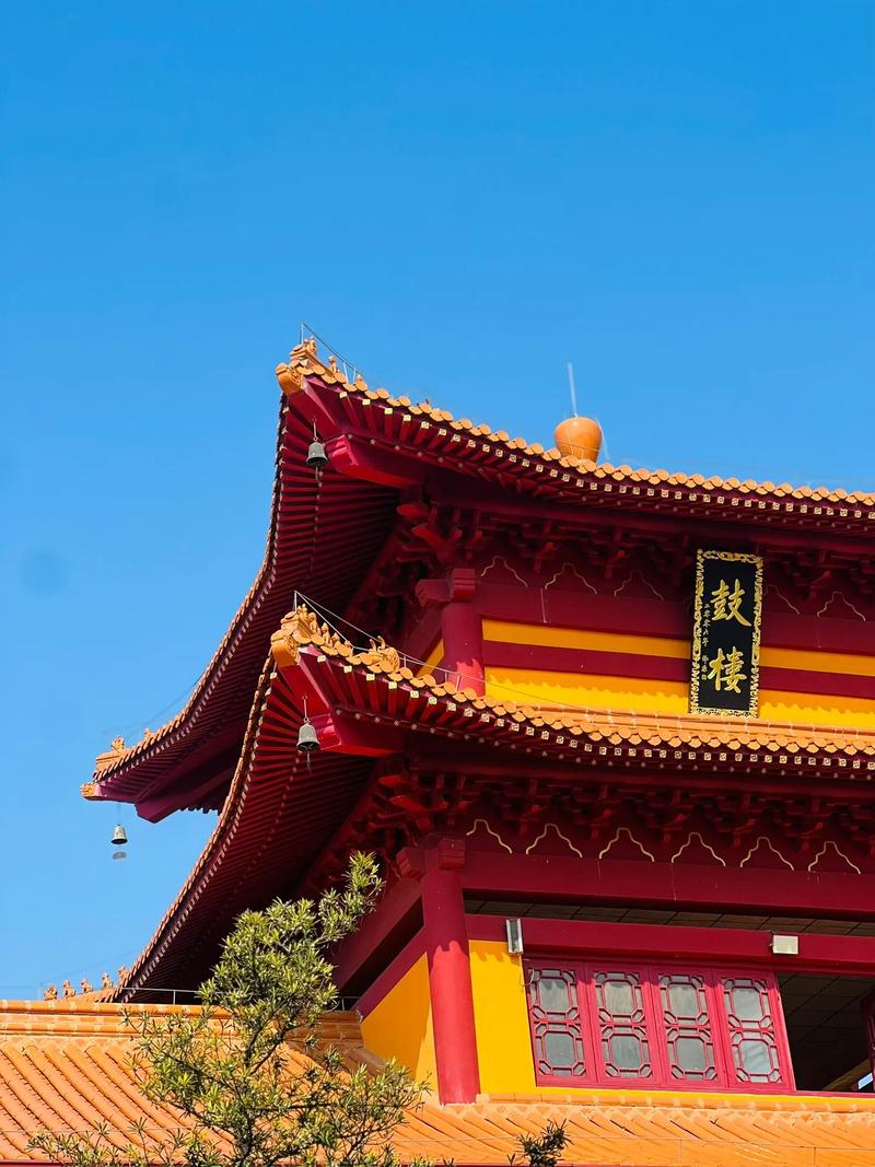 紫微斗数紫府朝桓格