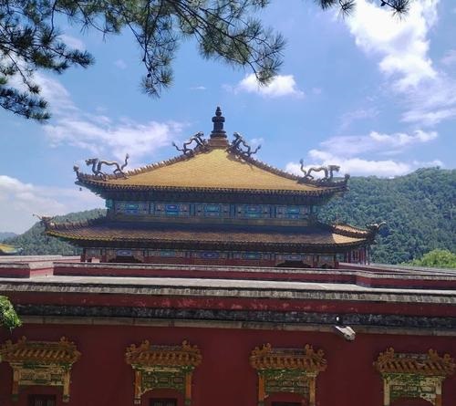 金靖出生上海什么区_金靖老家 金靖出生上海什么区_金靖老家