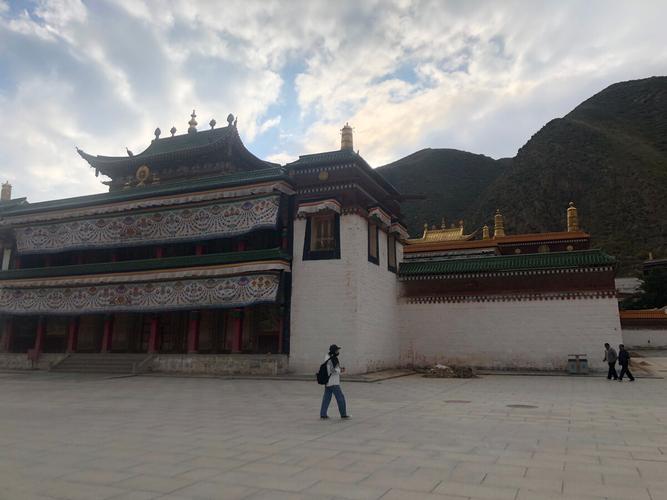 大王算命代表什么生肖对兔年税务优化有什么影响吗(大王算命代表什么生肖兔