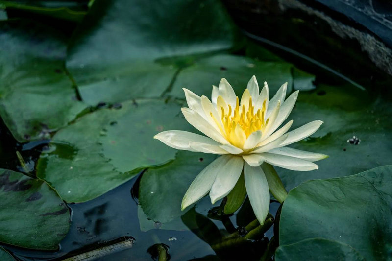 阴宅一权当贵怎么断